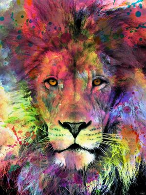LION IN COLOR