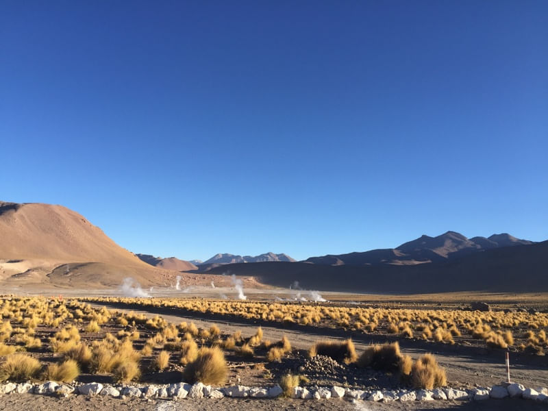 GEYSER DEL TATIO