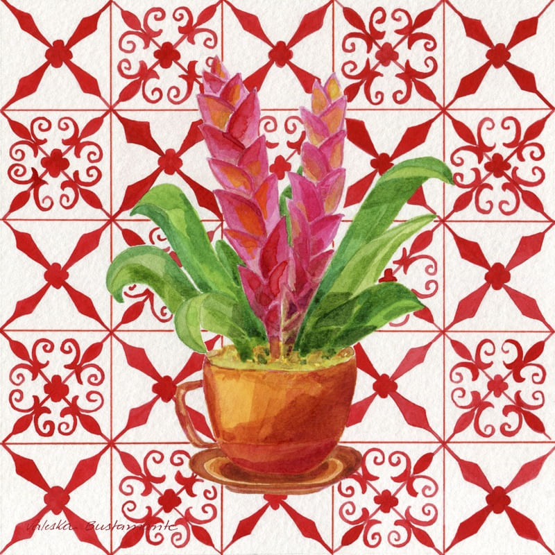 VERMELHO E VASO