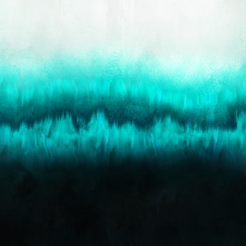 FOREST OF LIGHT