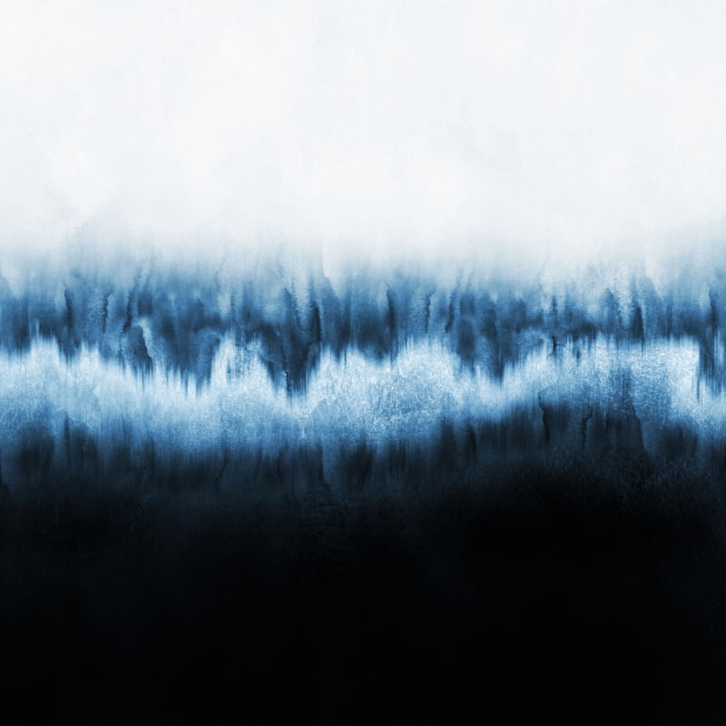 FOREST OF FROST
