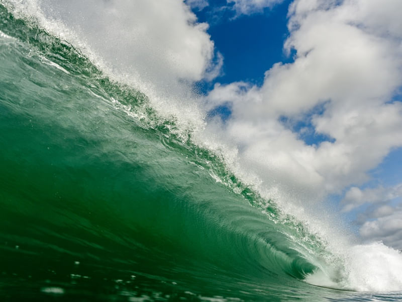 NICA WAVE