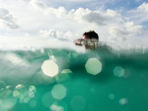 WILD SURF