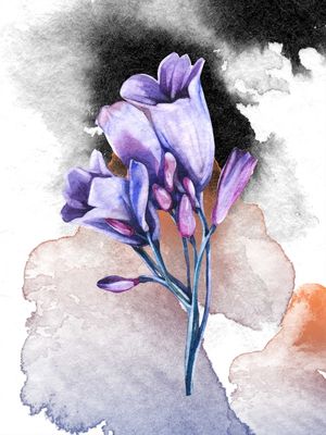 FLORAL COLOR