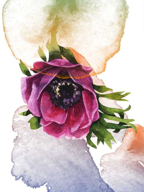 FLORAL ROSE