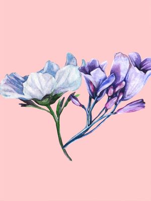 ROSE FLORAL