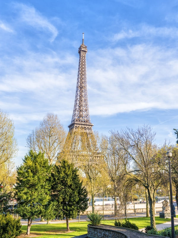 ÁRVORES DE PARIS II
