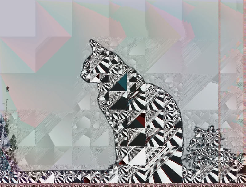 GATO GLITCH 16