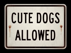 CUTE DOGS ALLOWED