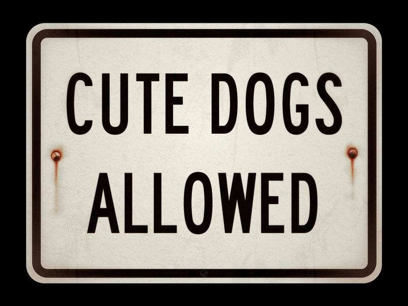 CUTE DOGS ALLOWED