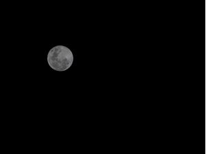 FULL MOON MADNESS