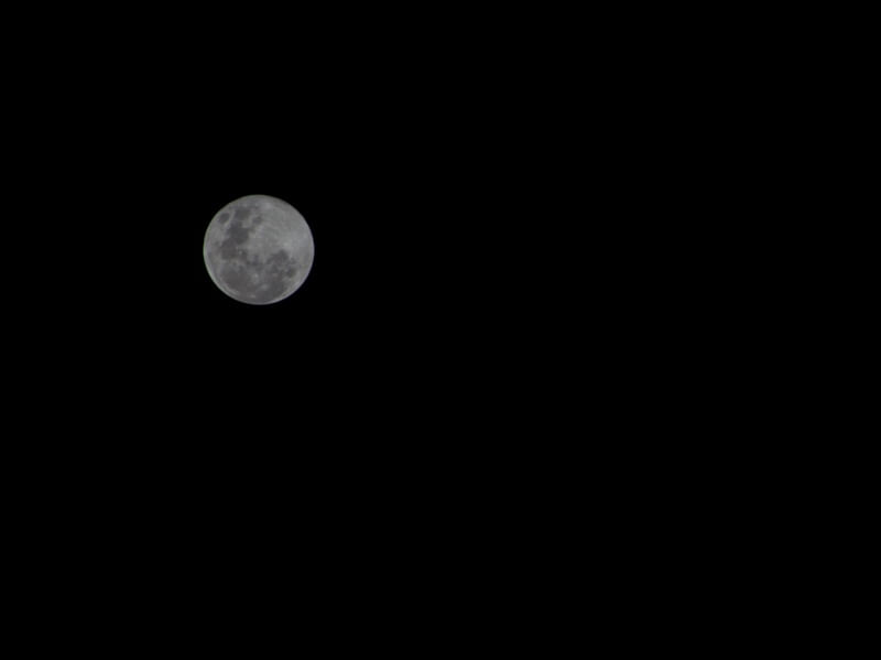 FULL MOON MADNESS