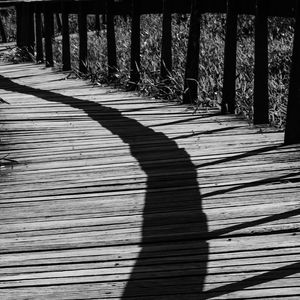 SOMBRAS NA PASSARELA