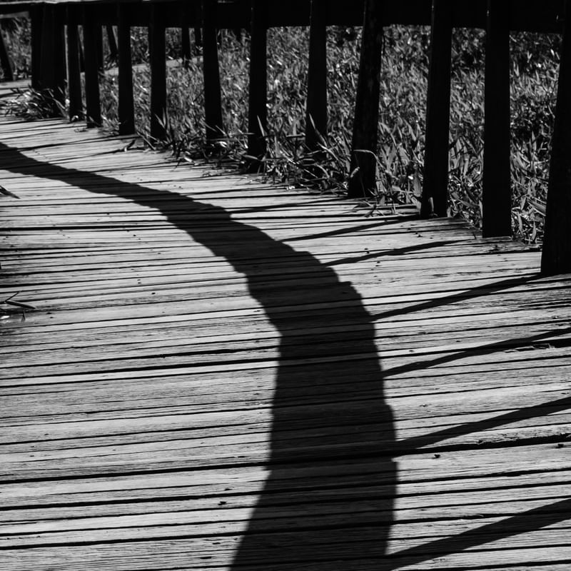 SOMBRAS NA PASSARELA