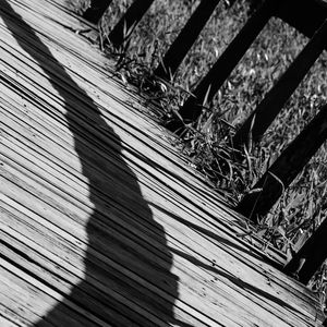 SOMBRAS NA PASSARELA 2