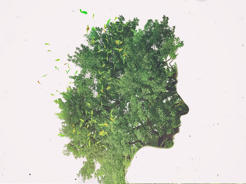 MOTHER GAIA