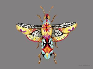 LIBÉLULA COLORIDA