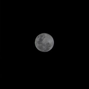 FULL MOON MADNESS I [ ]
