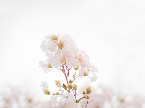 NATURE 3