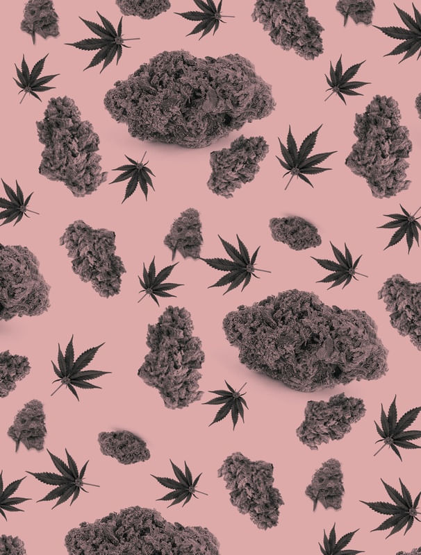 MARIJUANA