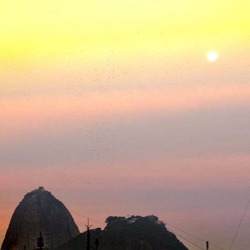 DIA SOLAR RIO