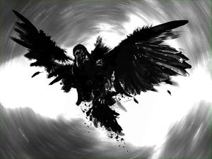 THREE EYE RAVEN