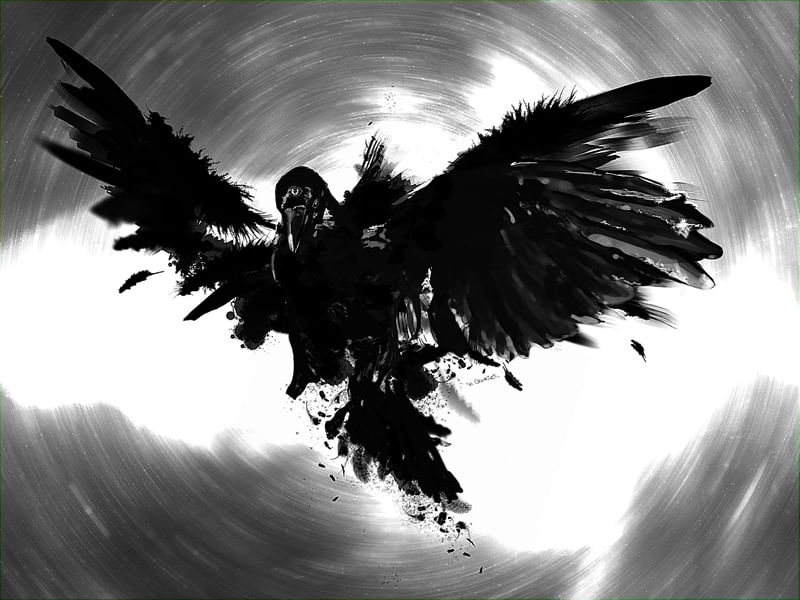 THREE EYE RAVEN