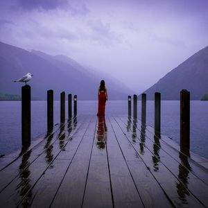 LAKE VIEW