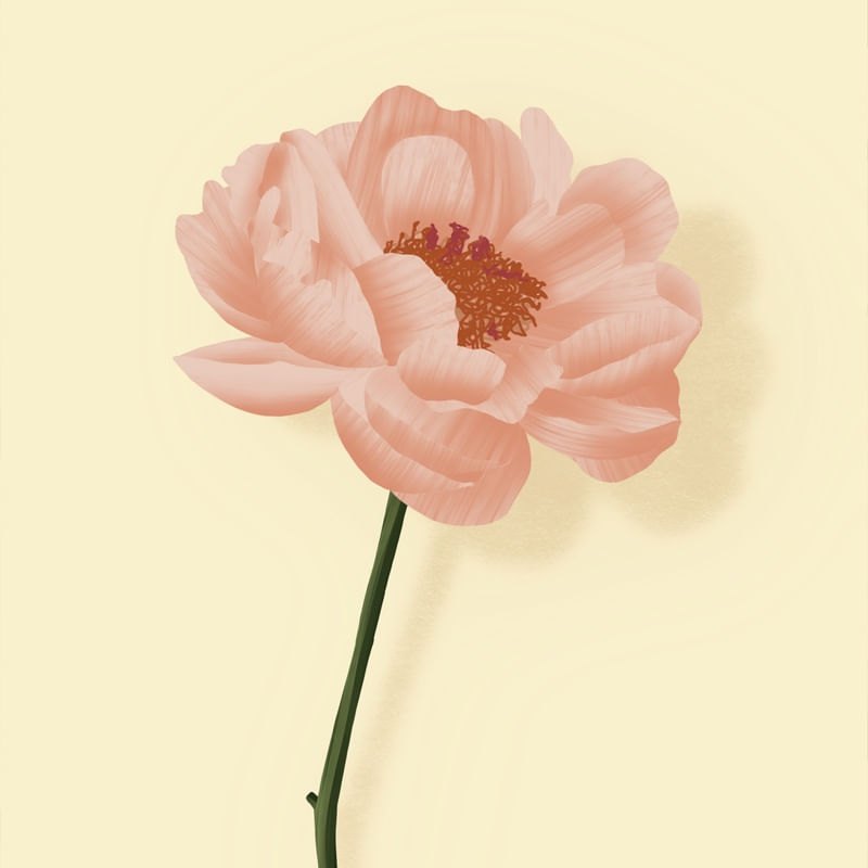 ALINE FLOWER QUAD