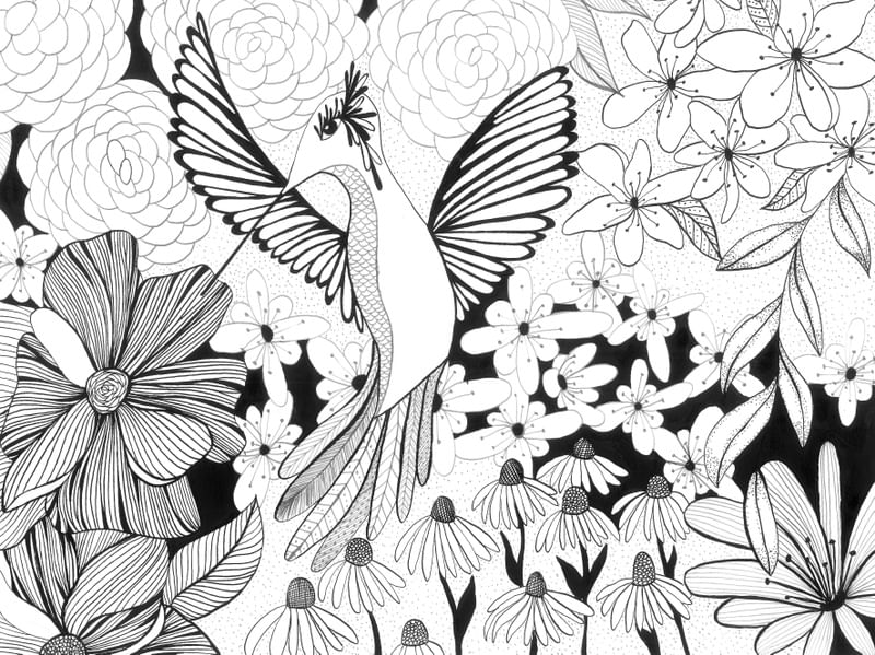 NATUREZA INVENTADA 3
