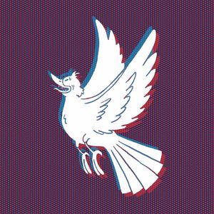 WHITE BIRD