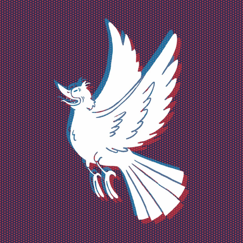 WHITE BIRD