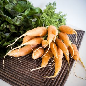 CARROT