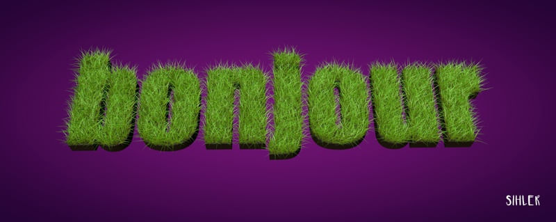 VEGAN BONJOUR