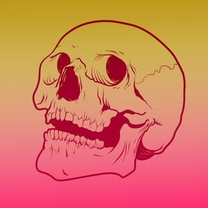 CAVEIRA LARANJA DEGRADE