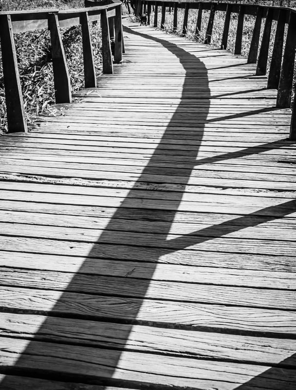 SOMBRAS NA PASSARELA 3