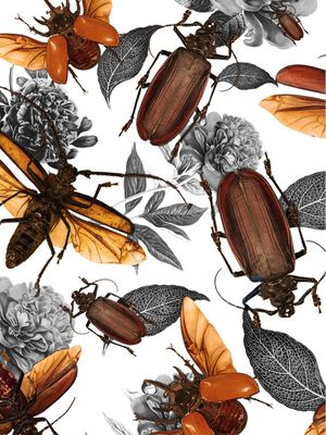 BUGS A