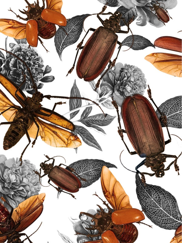 BUGS A