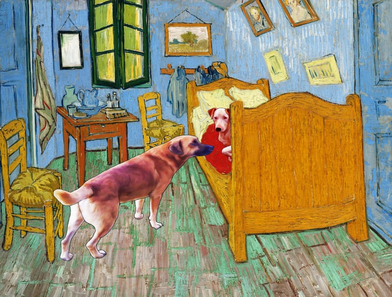 CACHORROS NO QUARTO DO VAN GOGH