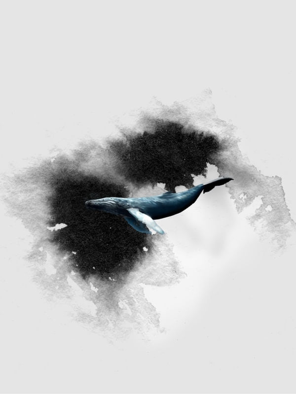 BALEIA AQUARELA 04