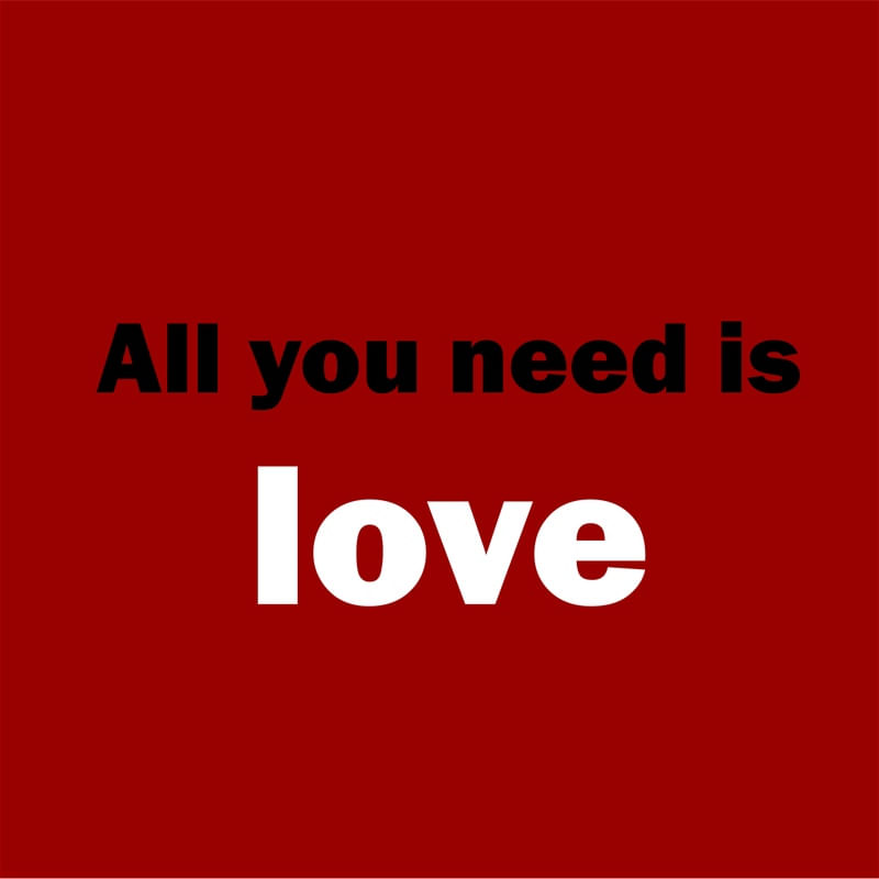 ALL YOU NEED IS LOVEE !