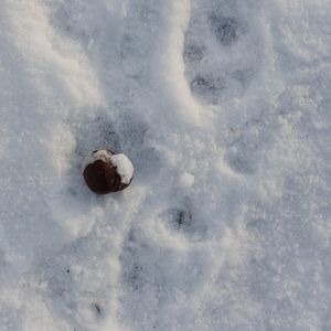 NEVE