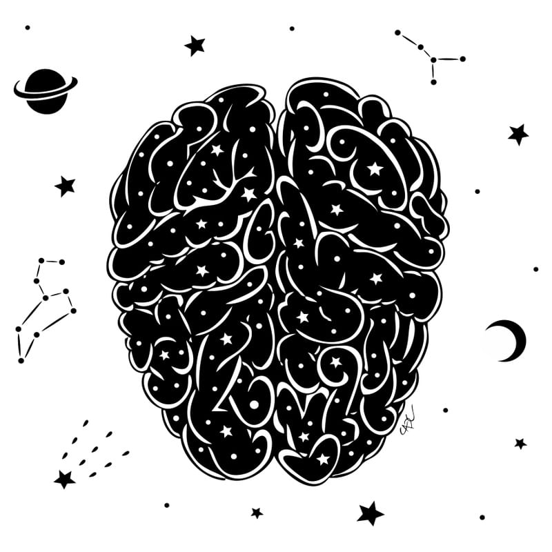 UNIVERSE BRAIN.