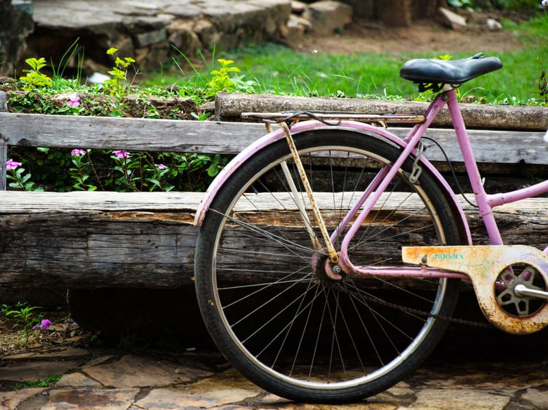 BICICLETA ROSA