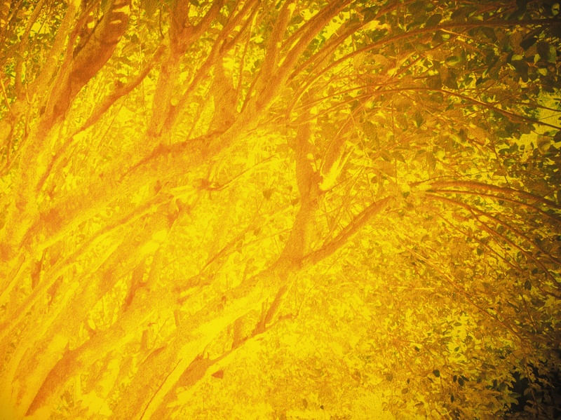 SOLAR TREE