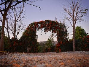 PORTAL DE FLORES