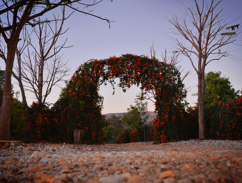 PORTAL DE FLORES