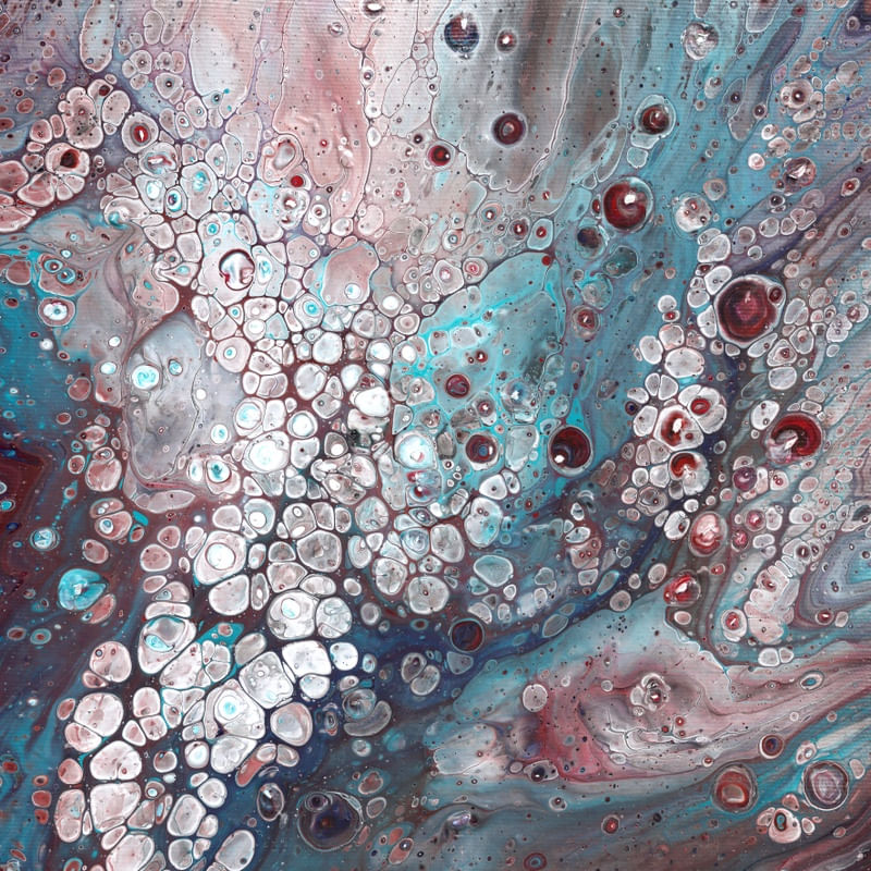 FLUID - ÂMAGO