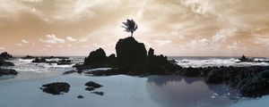 PRAIA E COQUEIRO
