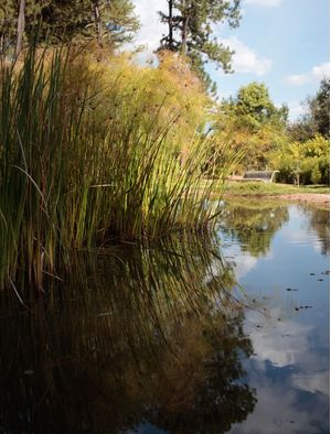 REFLEXO PARQUE